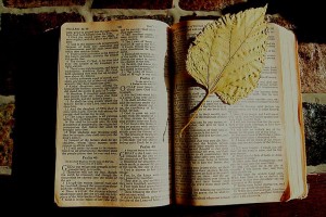 Cómo está dividida la Biblia