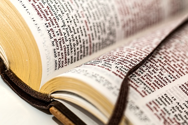 ¿Cuántas Biblias hay en total?