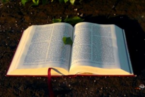 Cuántos salmos tiene la Biblia en total