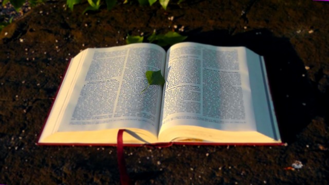 Cuántos salmos tiene la Biblia