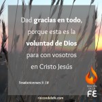 Frases cristianas de acción de gracias